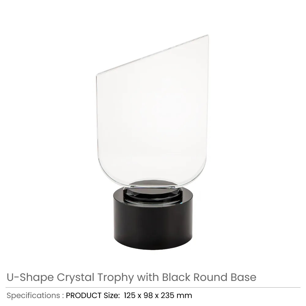Crystal-Trophy-with-Round-Black-Base-TR-11-Details